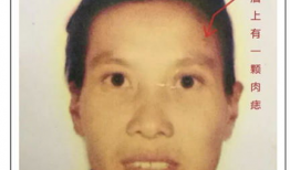 十八禁视频软件,内容审查与监管挑战